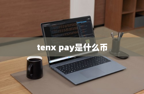 tenx pay是什么币